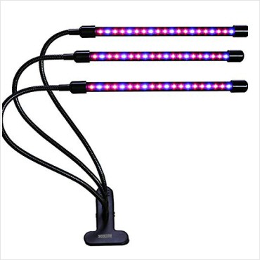 portfolio-item-image