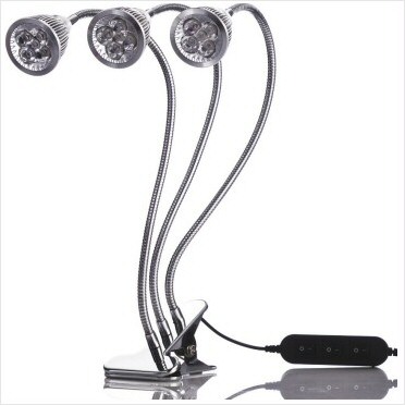 portfolio-item-image