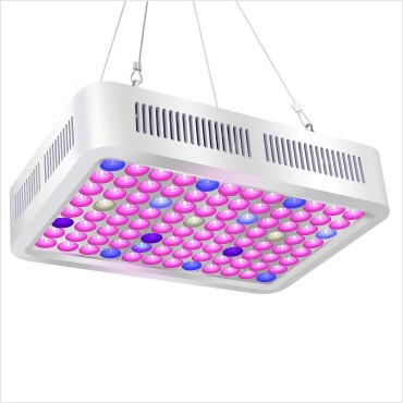 portfolio-item-image