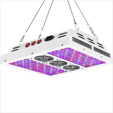 portfolio-item-image