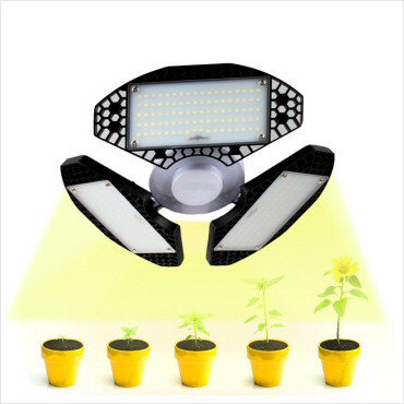 portfolio-item-image