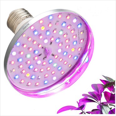 portfolio-item-image