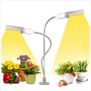 portfolio-item-image